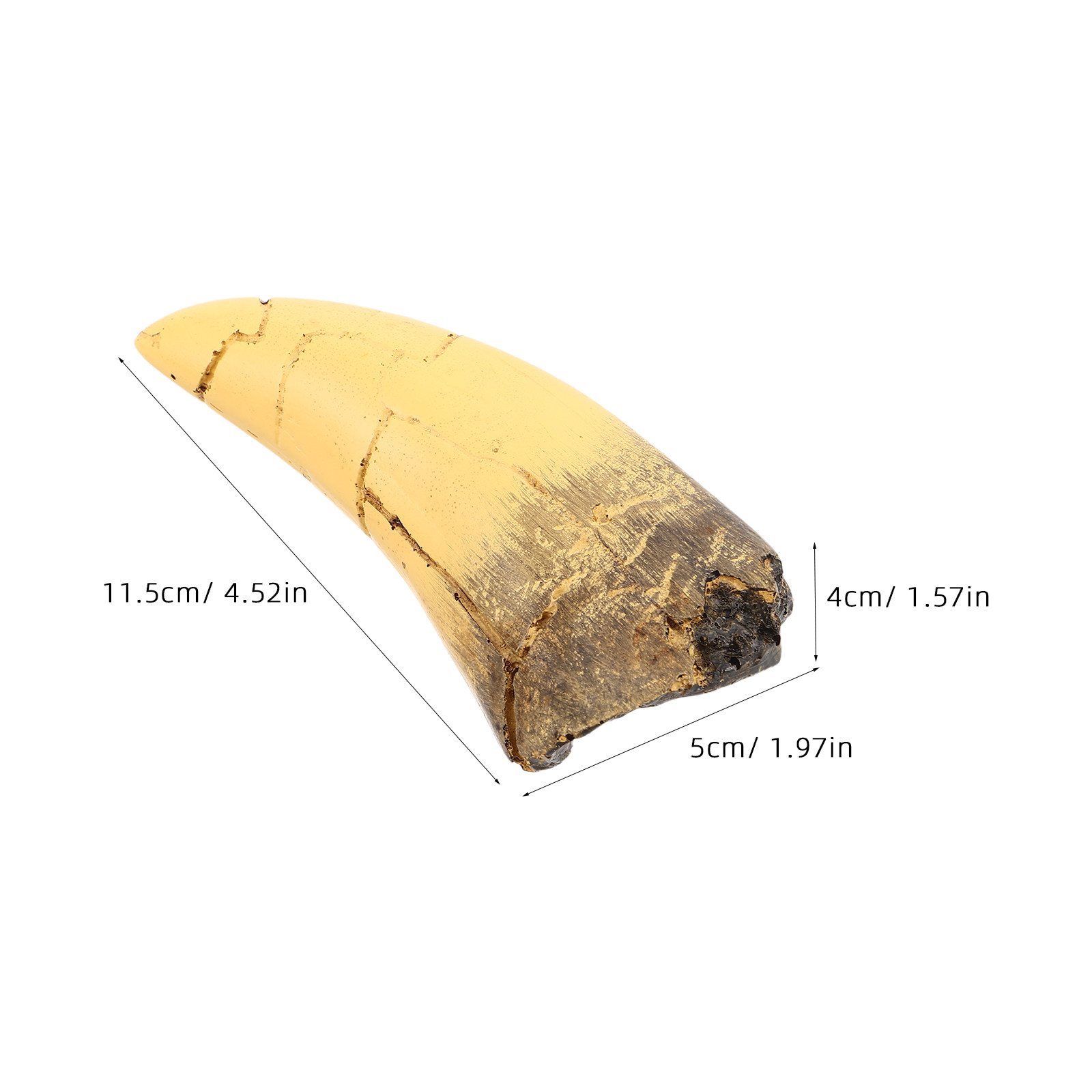 Dinosaurus Bergaya Autentik un - Science Toy ulasan dan harga